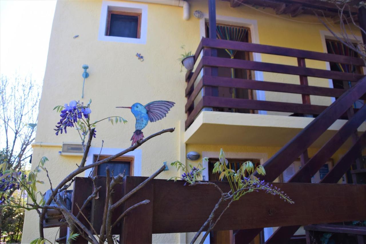 Ferienwohnung Complejo Sol De Valizas Barra de Valizas Exterior foto